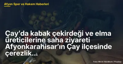 Çay'da Çerezlik Kabak Çekirdeği ve Elma Üreticilerine Saha Ziyareti