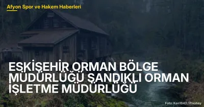 Sandıklı Orman İşletme Müdürlüğü'nde 62 Ton Kömür Alım İhalesi