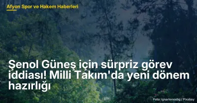 Şenol Güneş için sürpriz görev iddiası! Milli Takım'da yeni dönem hazırlığı