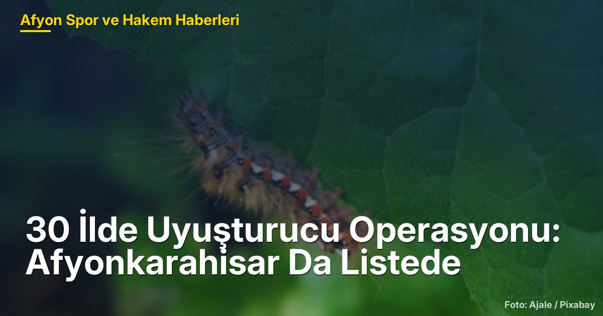 30 İlde Uyuşturucu Operasyonu: Afyonkarahisar Da Listede