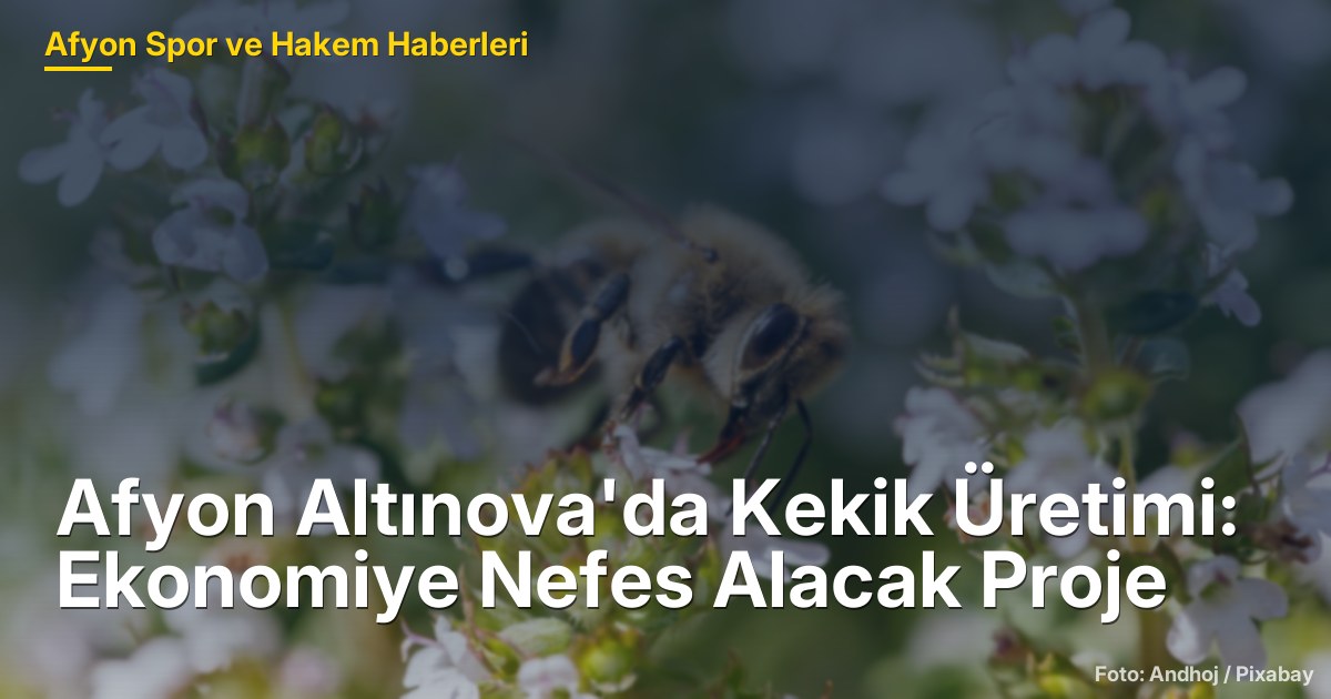 Afyon Altınova'da Kekik Üretimi: Ekonomiye Nefes Alacak Proje