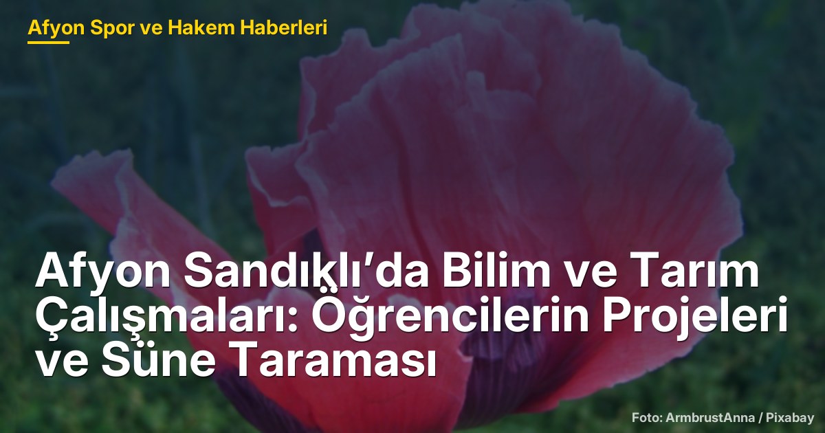 Afyon Sandıklı’da Bilim ve Tarım Çalışmaları: Öğrencilerin Projeleri ve Süne Taraması