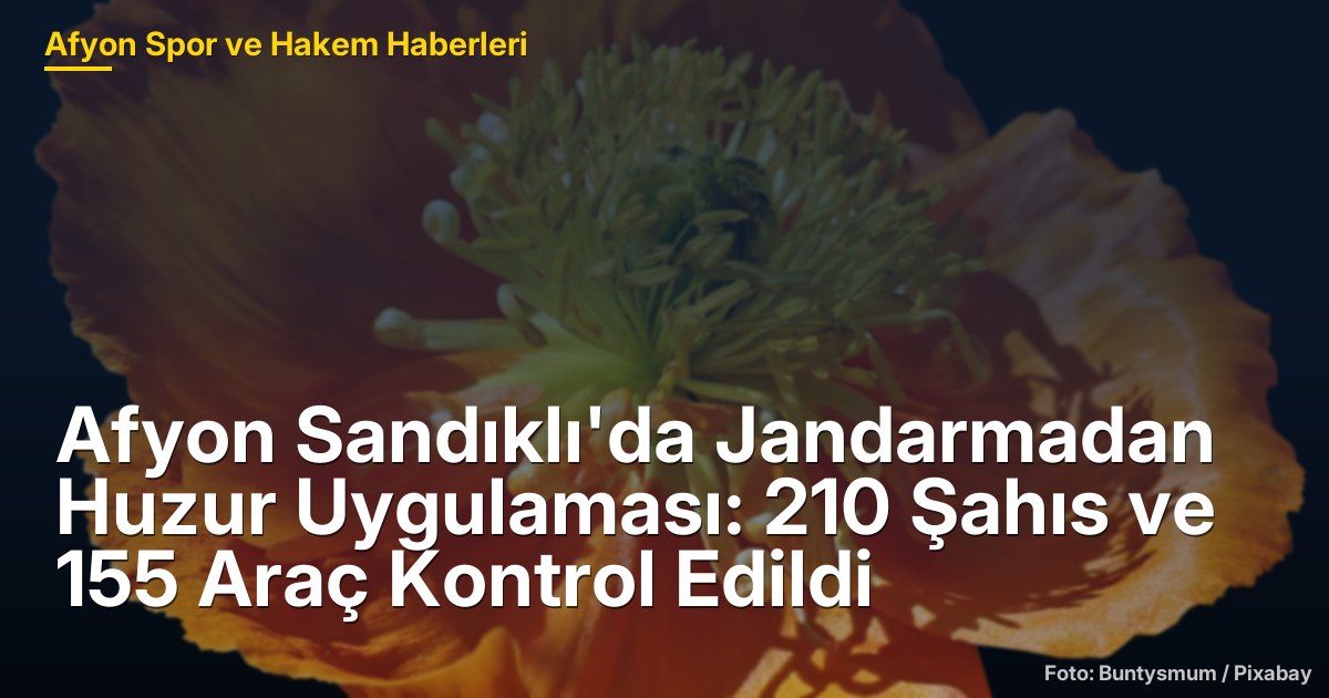 Afyon Sandıklı'da Jandarmadan Huzur Uygulaması: 210 Şahıs ve 155 Araç Kontrol Edildi