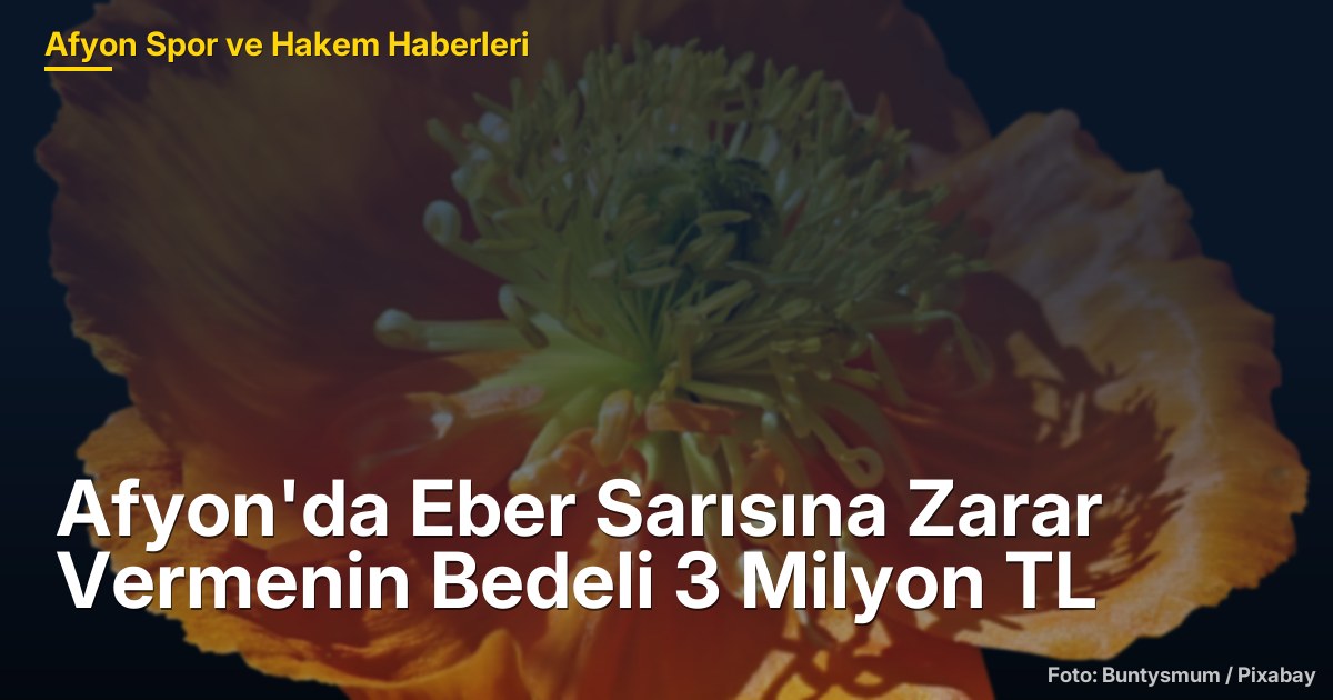 Afyon'da Eber Sarısına Zarar Vermenin Bedeli 3 Milyon TL