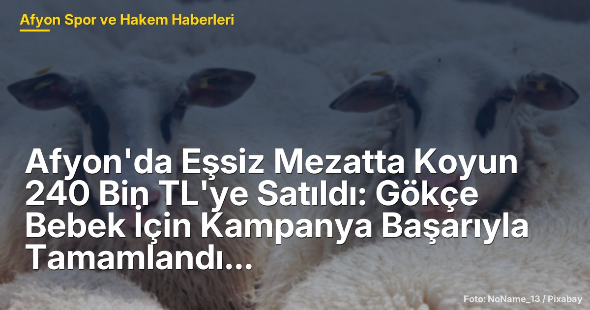 Afyon'da Eşsiz Mezatta Koyun 240 Bin TL'ye Satıldı: Gökçe Bebek İçin Kampanya Başarıyla Tamamlandı