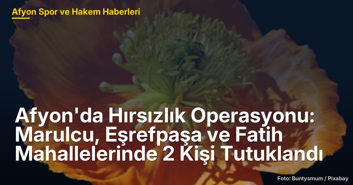 Afyon'da Hırsızlık Operasyonu: Marulcu, Eşrefpaşa ve Fatih Mahallelerinde 2 Kişi Tutuklandı
