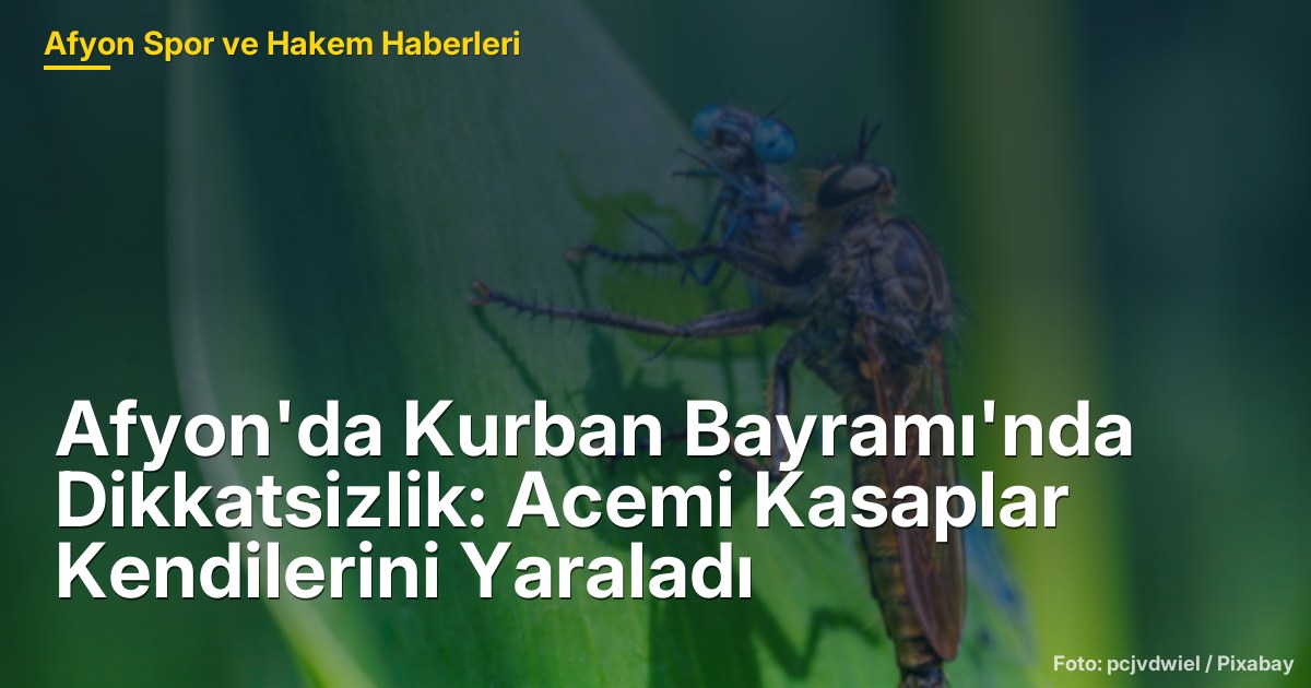Afyon'da Kurban Bayramı'nda Dikkatsizlik: Acemi Kasaplar Kendilerini Yaraladı
