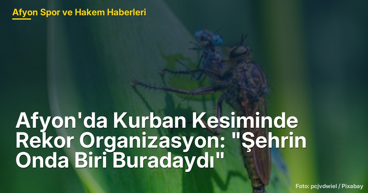 Afyon'da Kurban Kesiminde Rekor Organizasyon: "Şehrin Onda Biri Buradaydı"