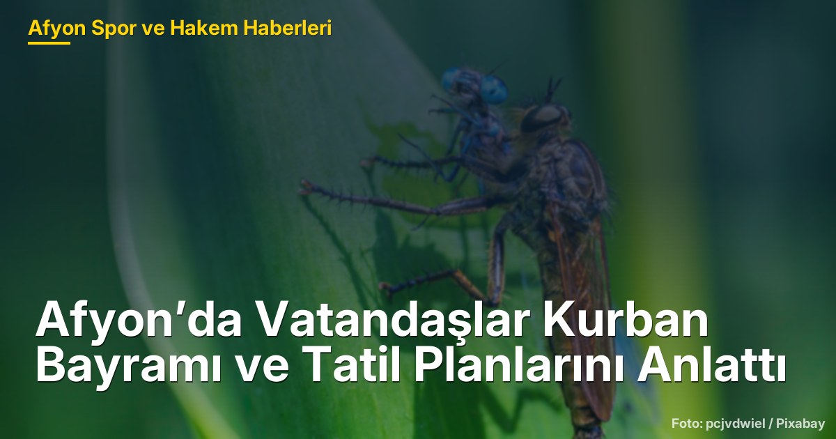 Afyon’da Vatandaşlar Kurban Bayramı ve Tatil Planlarını Anlattı