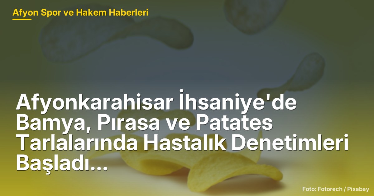 Afyonkarahisar İhsaniye'de Bamya, Pırasa ve Patates Tarlalarında Hastalık Denetimleri Başladı