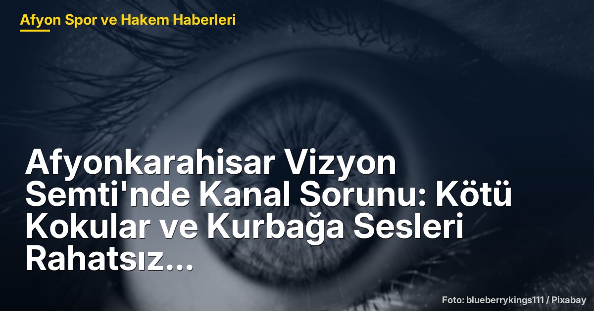 Afyonkarahisar Vizyon Semti'nde Kanal Sorunu: Kötü Kokular ve Kurbağa Sesleri Rahatsız Ediyor