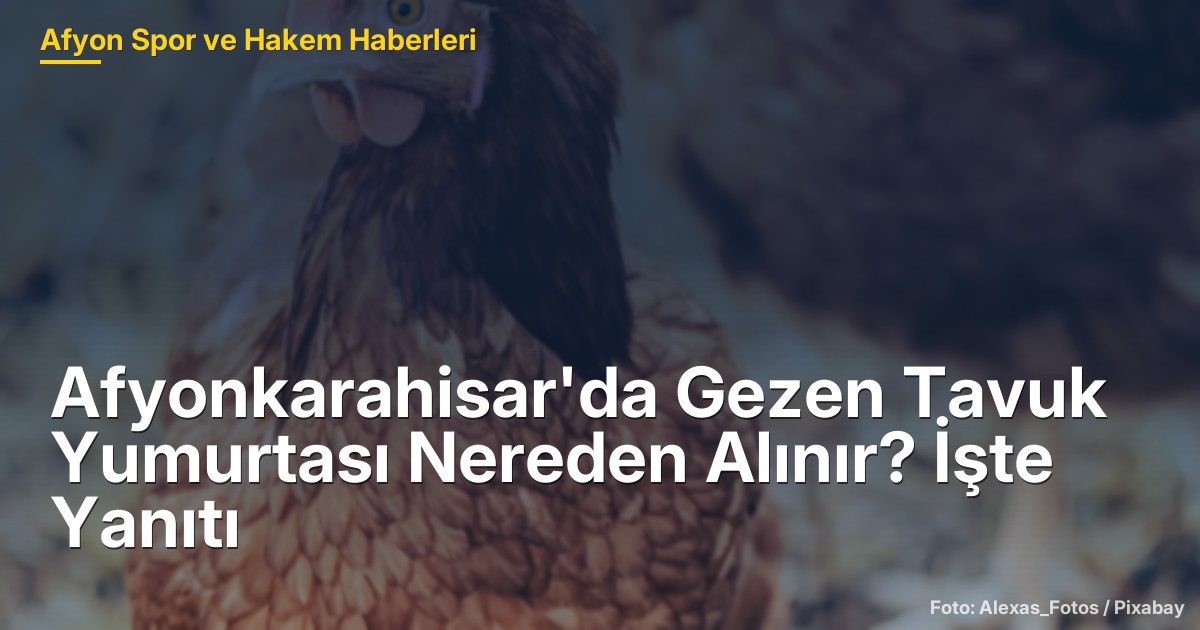 Afyonkarahisar'da Gezen Tavuk Yumurtası Nereden Alınır? İşte Yanıtı