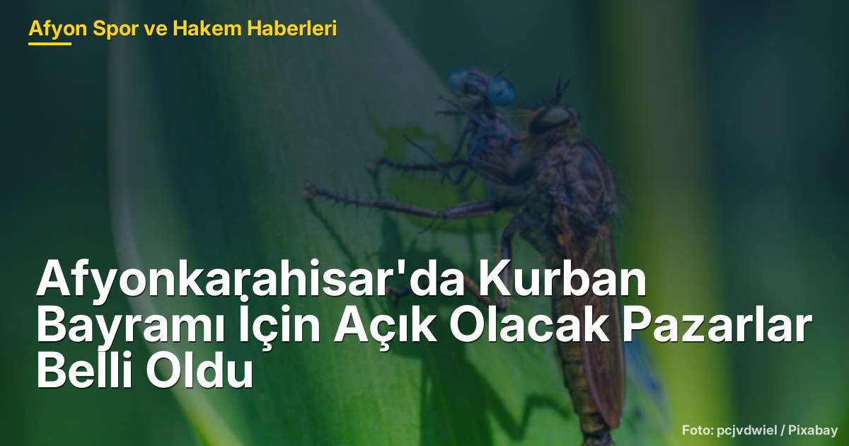 Afyonkarahisar'da Kurban Bayramı İçin Açık Olacak Pazarlar Belli Oldu