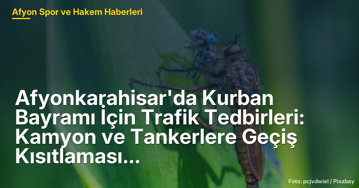 Afyonkarahisar'da Kurban Bayramı İçin Trafik Tedbirleri: Kamyon ve Tankerlere Geçiş Kısıtlaması