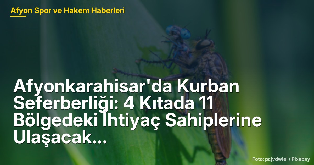 Afyonkarahisar'da Kurban Seferberliği: 4 Kıtada 11 Bölgedeki İhtiyaç Sahiplerine Ulaşacak