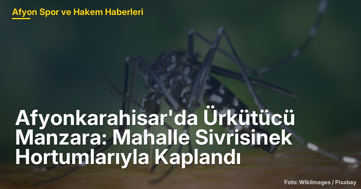 Afyonkarahisar'da Ürkütücü Manzara: Mahalle Sivrisinek Hortumlarıyla Kaplandı