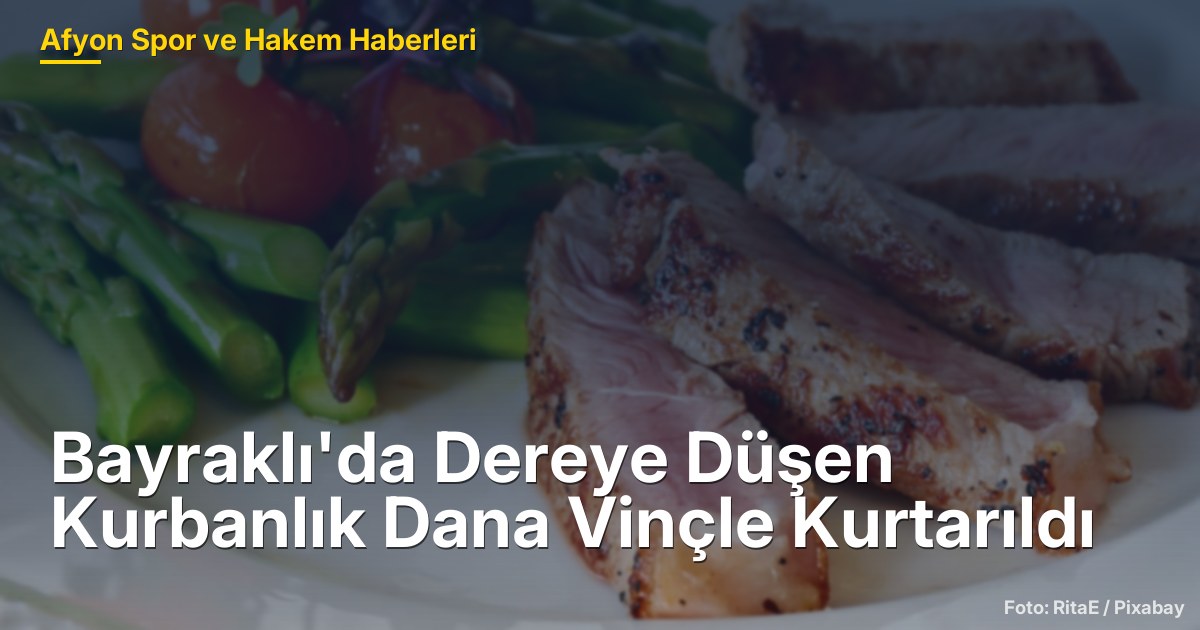 Bayraklı'da Dereye Düşen Kurbanlık Dana Vinçle Kurtarıldı