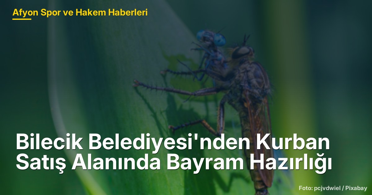 Bilecik Belediyesi'nden Kurban Satış Alanında Bayram Hazırlığı