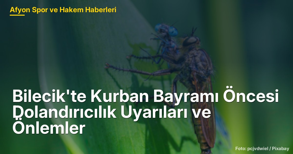 Bilecik'te Kurban Bayramı Öncesi Dolandırıcılık Uyarıları ve Önlemler