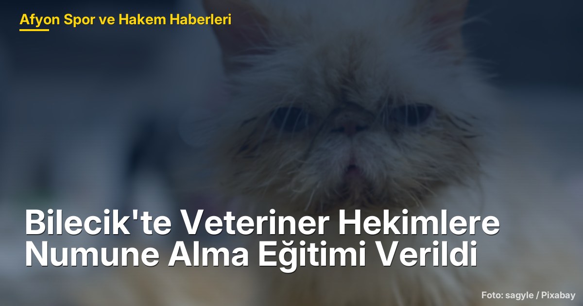 Bilecik'te Veteriner Hekimlere Numune Alma Eğitimi Verildi