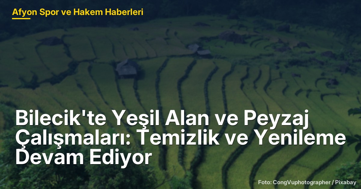 Bilecik'te Yeşil Alan ve Peyzaj Çalışmaları: Temizlik ve Yenileme Devam Ediyor