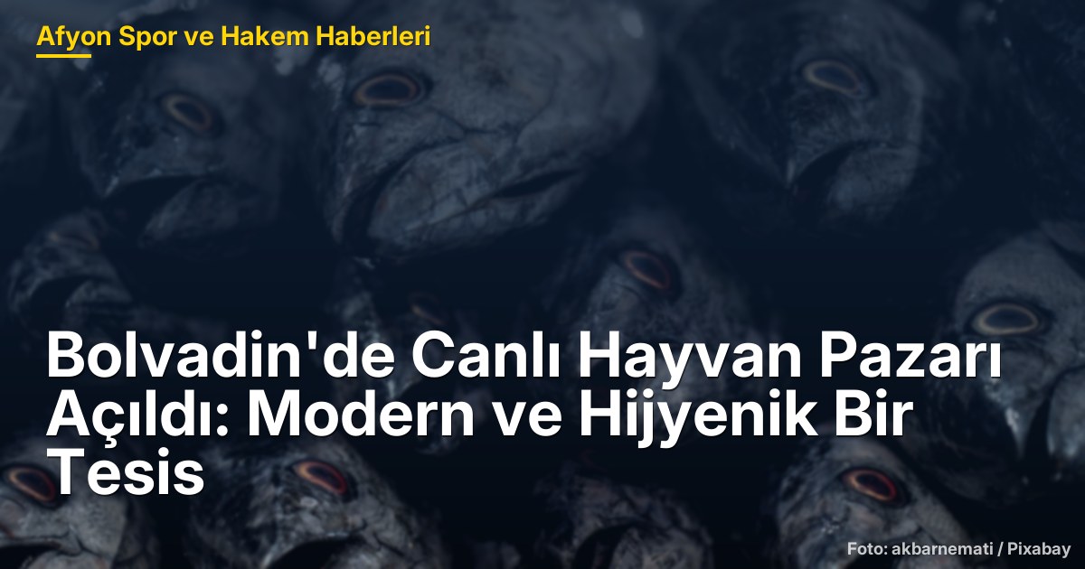Bolvadin'de Canlı Hayvan Pazarı Açıldı: Modern ve Hijyenik Bir Tesis