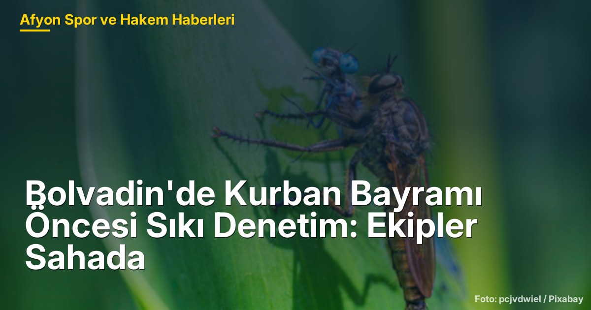 Bolvadin'de Kurban Bayramı Öncesi Sıkı Denetim: Ekipler Sahada
