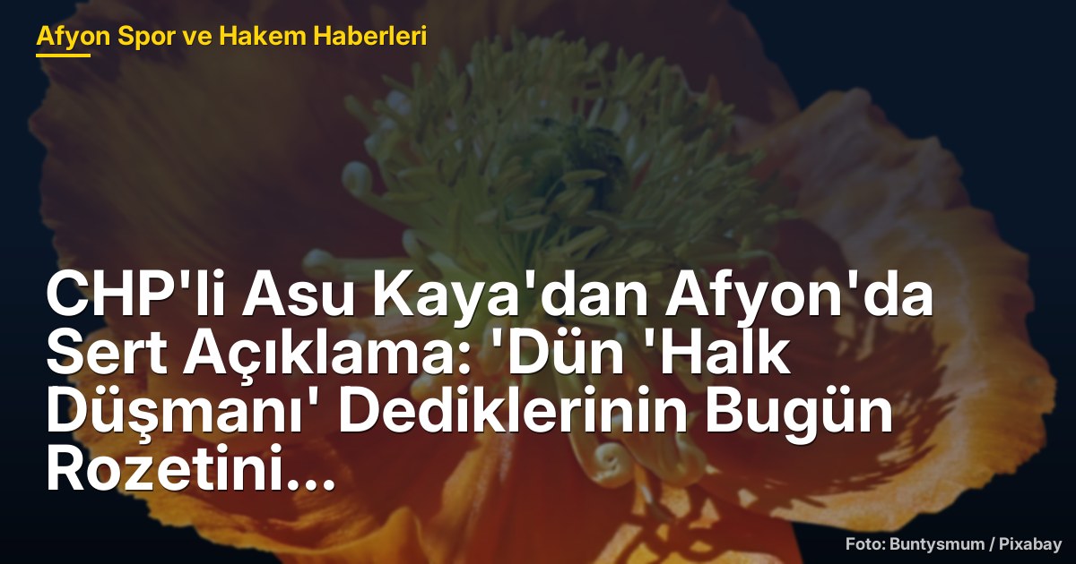 CHP'li Asu Kaya'dan Afyon'da Sert Açıklama: 'Dün 'Halk Düşmanı' Dediklerinin Bugün Rozetini Taktın'