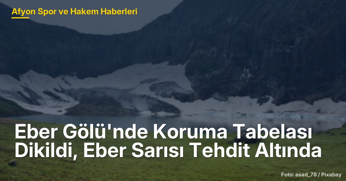 Eber Gölü'nde Koruma Tabelası Dikildi, Eber Sarısı Tehdit Altında