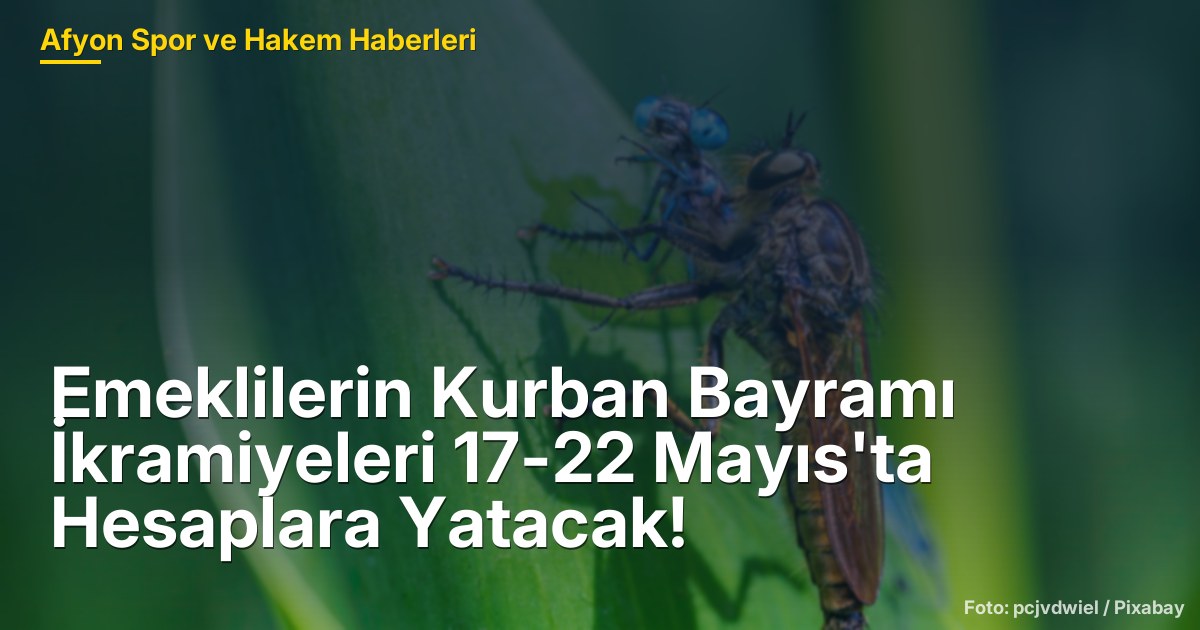 Emeklilerin Kurban Bayramı İkramiyeleri 17-22 Mayıs'ta Hesaplara Yatacak!