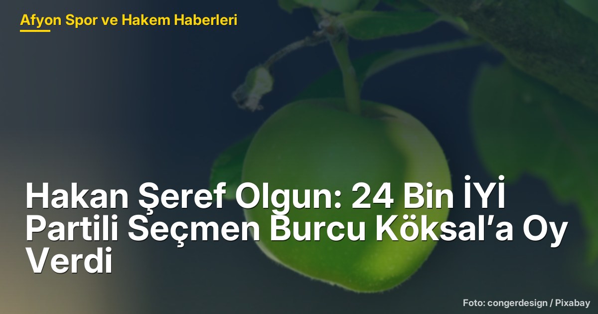 Hakan Şeref Olgun: 24 Bin İYİ Partili Seçmen Burcu Köksal’a Oy Verdi