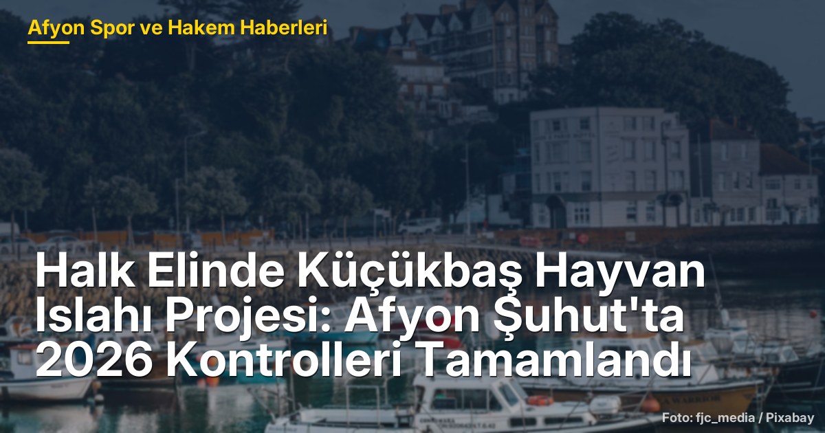 Halk Elinde Küçükbaş Hayvan Islahı Projesi: Afyon Şuhut'ta 2026 Kontrolleri Tamamlandı