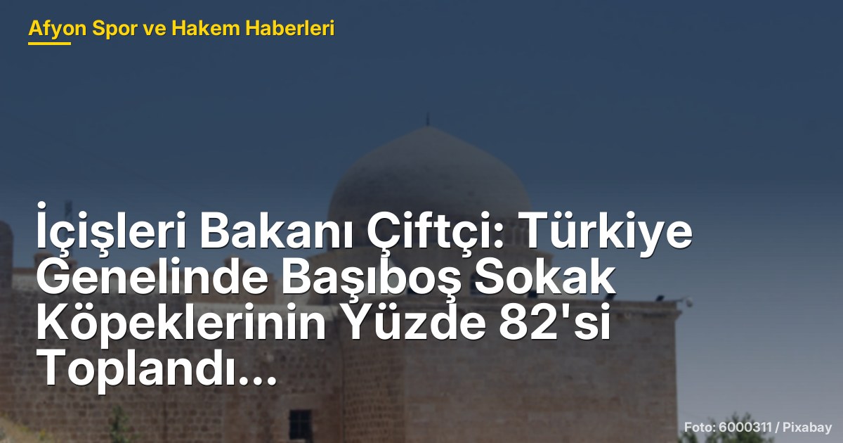 İçişleri Bakanı Çiftçi: Türkiye Genelinde Başıboş Sokak Köpeklerinin Yüzde 82'si Toplandı