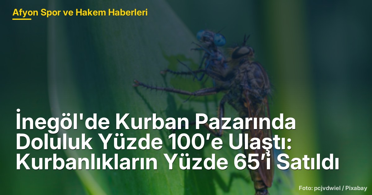İnegöl'de Kurban Pazarında Doluluk Yüzde 100’e Ulaştı: Kurbanlıkların Yüzde 65’i Satıldı