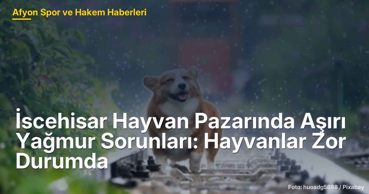 İscehisar Hayvan Pazarında Aşırı Yağmur Sorunları: Hayvanlar Zor Durumda