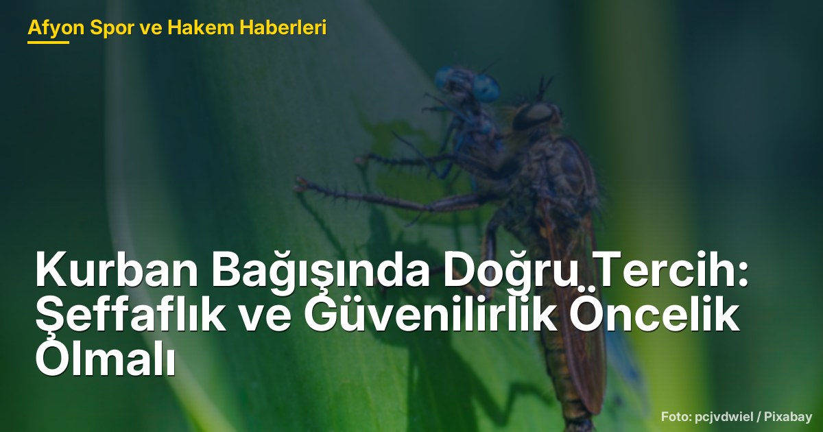 Kurban Bağışında Doğru Tercih: Şeffaflık ve Güvenilirlik Öncelik Olmalı