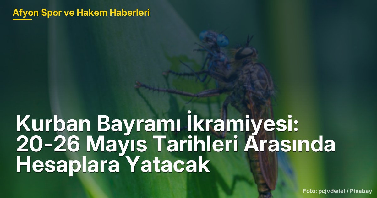 Kurban Bayramı İkramiyesi: 20-26 Mayıs Tarihleri Arasında Hesaplara Yatacak