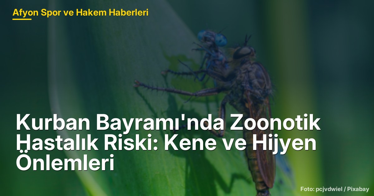 Kurban Bayramı'nda Zoonotik Hastalık Riski: Kene ve Hijyen Önlemleri
