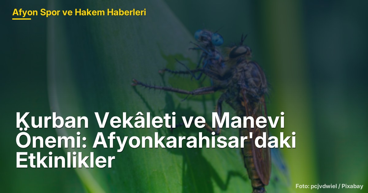 Kurban Vekâleti ve Manevi Önemi: Afyonkarahisar'daki Etkinlikler