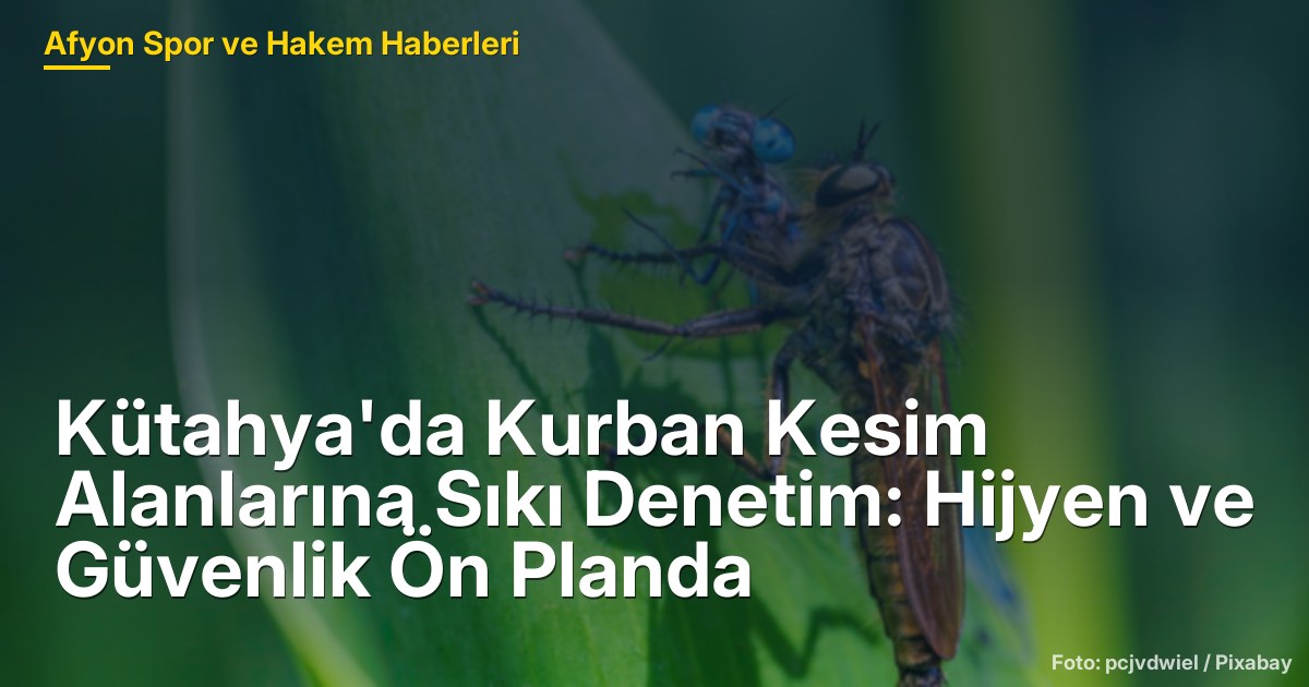 Kütahya'da Kurban Kesim Alanlarına Sıkı Denetim: Hijyen ve Güvenlik Ön Planda