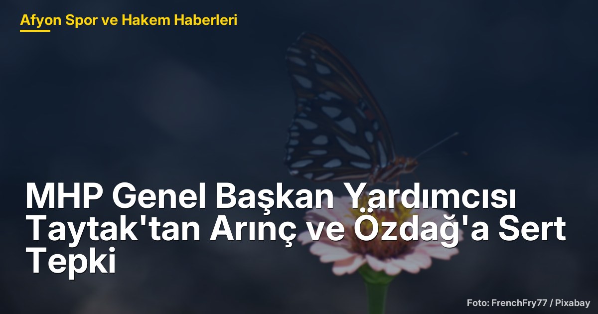 MHP Genel Başkan Yardımcısı Taytak'tan Arınç ve Özdağ'a Sert Tepki