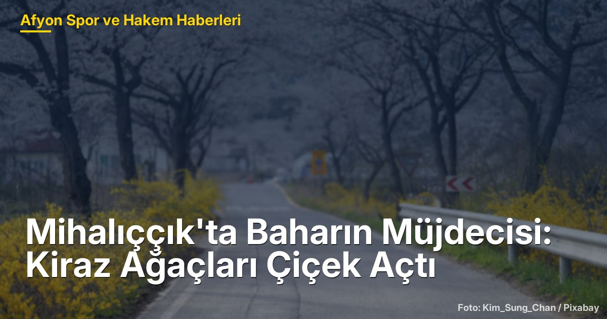 Mihalıççık'ta Baharın Müjdecisi: Kiraz Ağaçları Çiçek Açtı