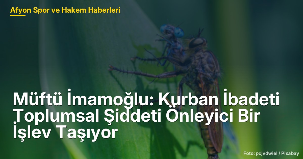 Müftü İmamoğlu: Kurban İbadeti Toplumsal Şiddeti Önleyici Bir İşlev Taşıyor