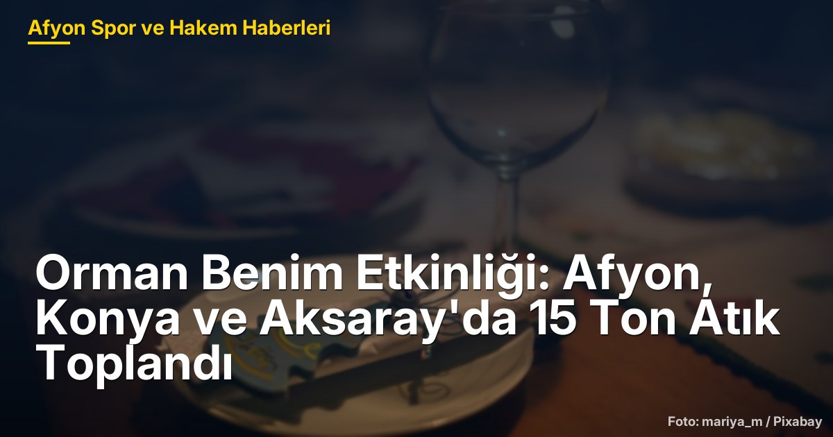 Orman Benim Etkinliği: Afyon, Konya ve Aksaray'da 15 Ton Atık Toplandı