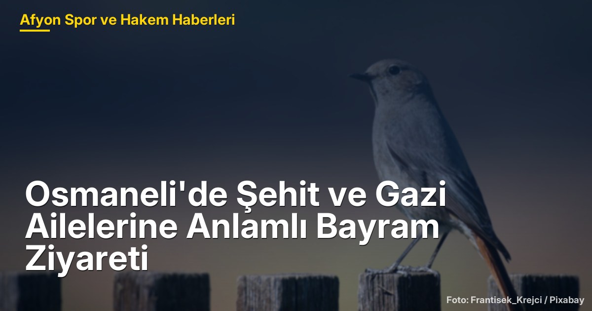 Osmaneli'de Şehit ve Gazi Ailelerine Anlamlı Bayram Ziyareti