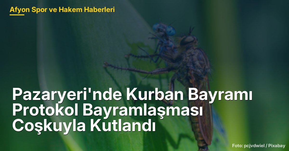 Pazaryeri'nde Kurban Bayramı Protokol Bayramlaşması Coşkuyla Kutlandı