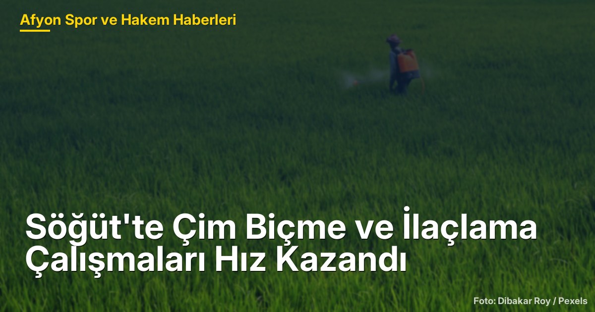 Söğüt'te Çim Biçme ve İlaçlama Çalışmaları Hız Kazandı