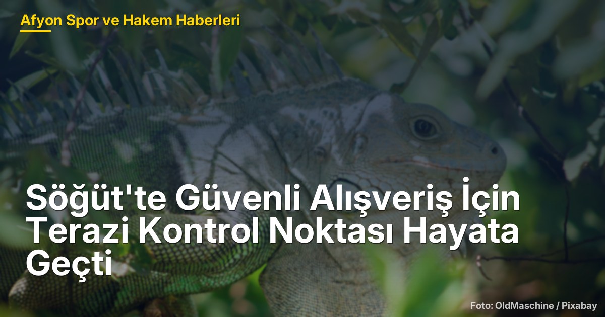 Söğüt'te Güvenli Alışveriş İçin Terazi Kontrol Noktası Hayata Geçti