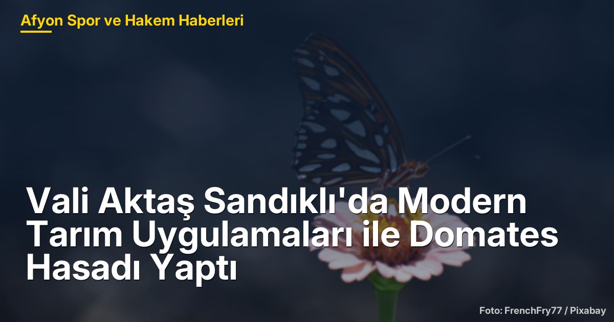 Vali Aktaş Sandıklı'da Modern Tarım Uygulamaları ile Domates Hasadı Yaptı