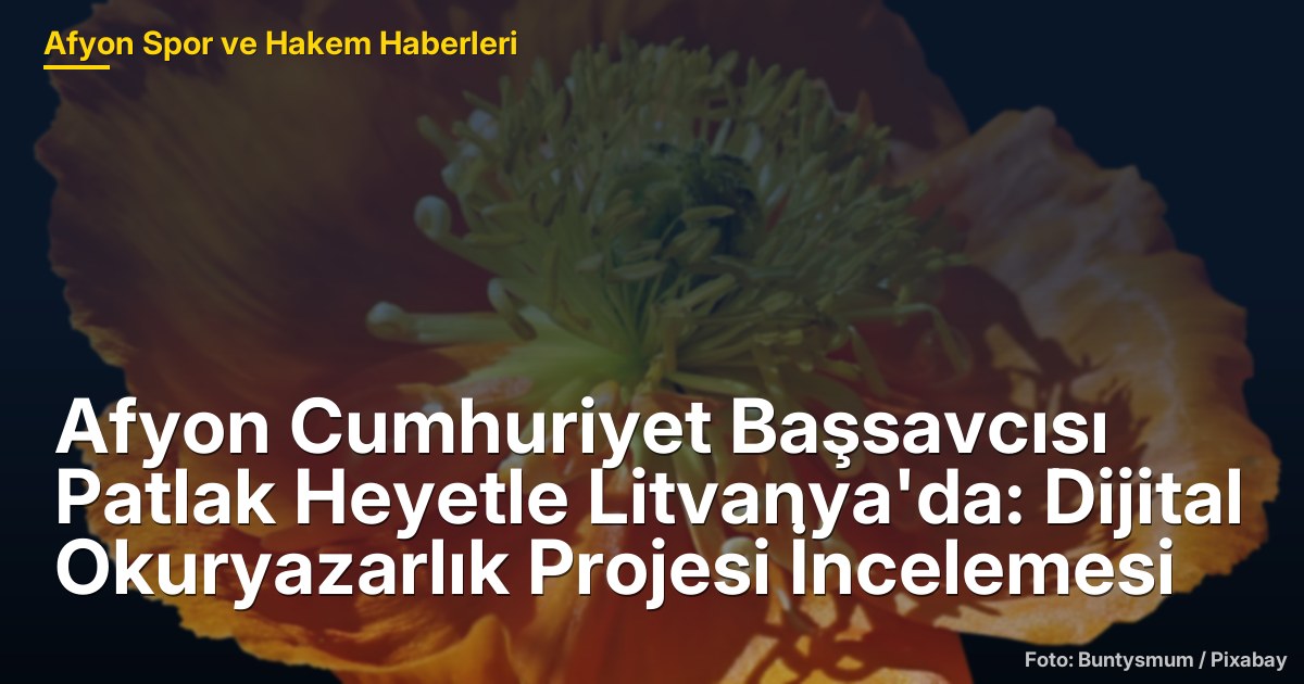 Afyon Cumhuriyet Başsavcısı Patlak Heyetle Litvanya'da: Dijital Okuryazarlık Projesi İncelemesi